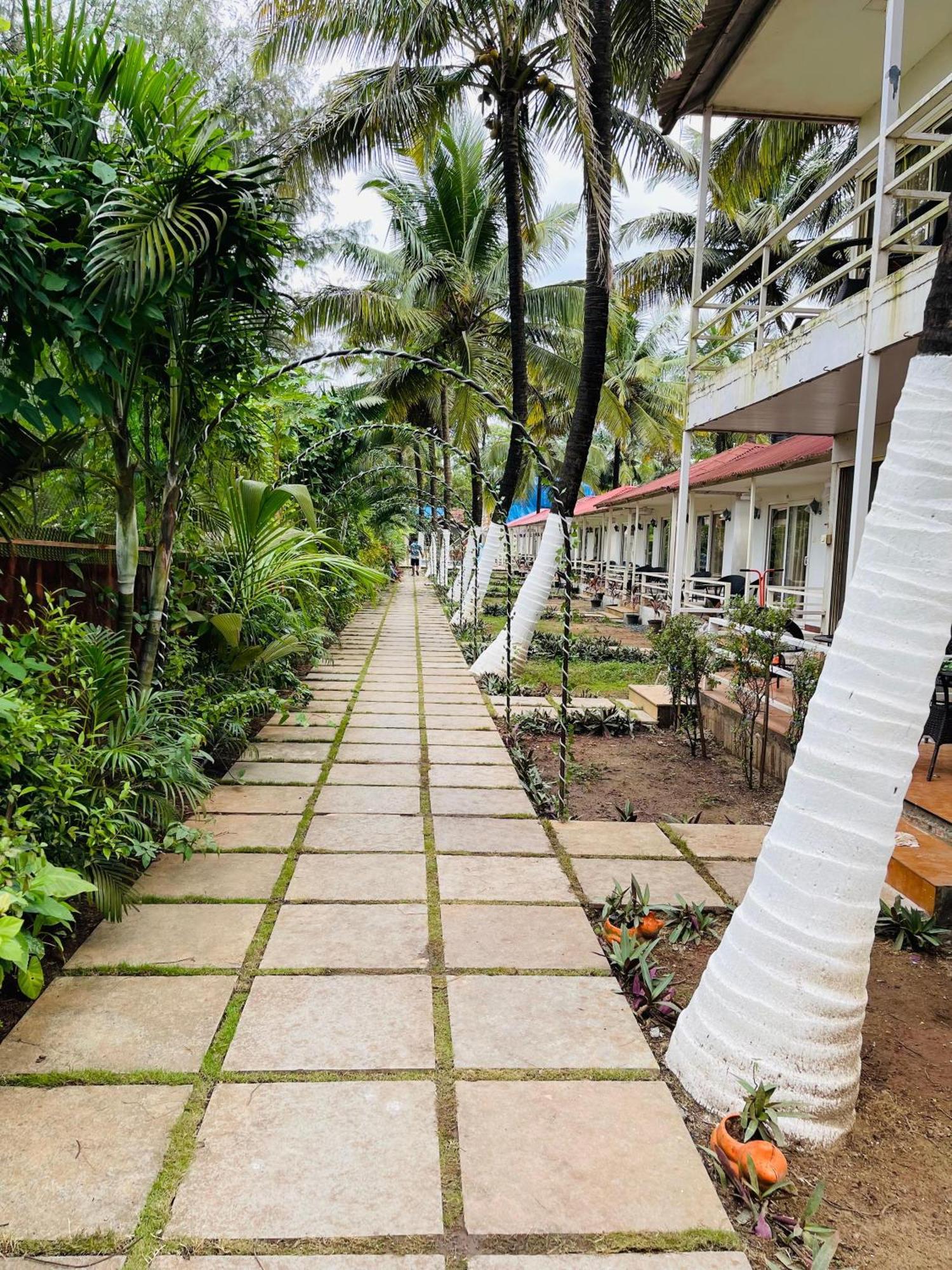 Arabian Sea Beach Resort Morjim Exteriör bild