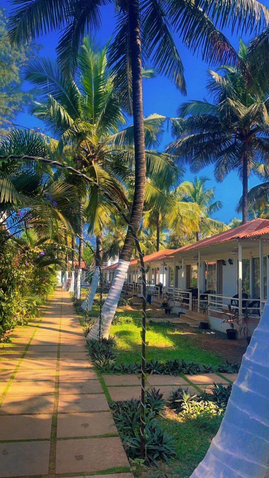 Arabian Sea Beach Resort Morjim Exteriör bild